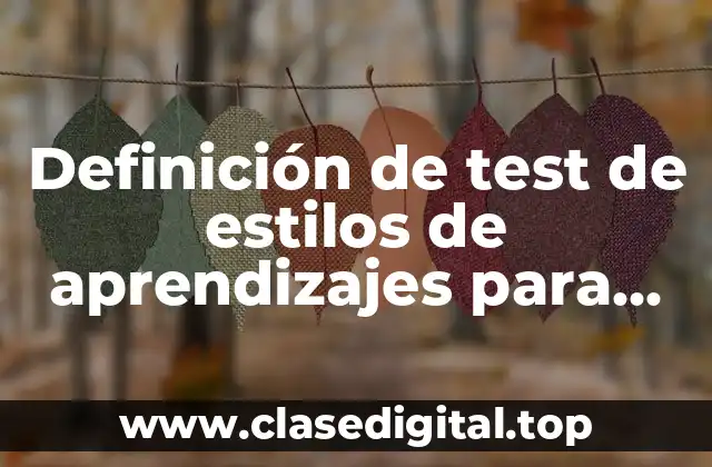Definición de test de estilos de aprendizajes para primer grado