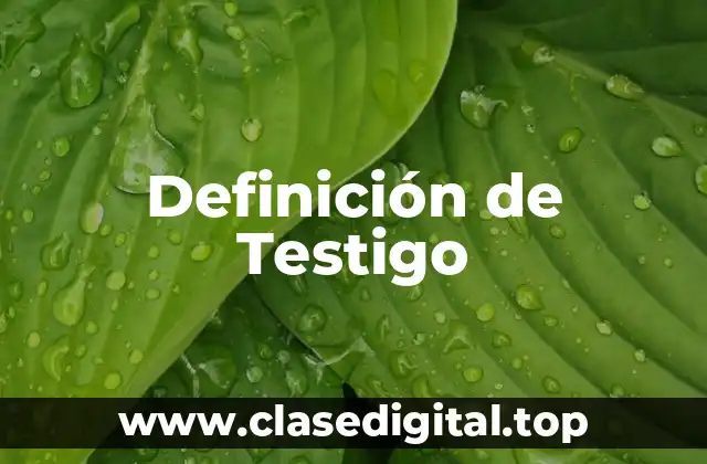 Definición de Testigo