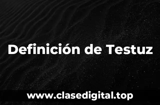 Definición de Testuz