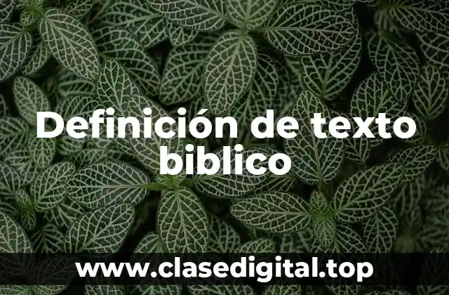 Definición de texto biblico