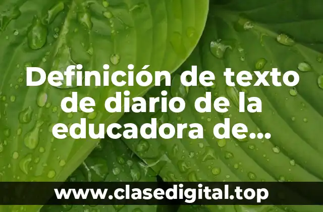 Definición de texto de diario de la educadora de preescolar
