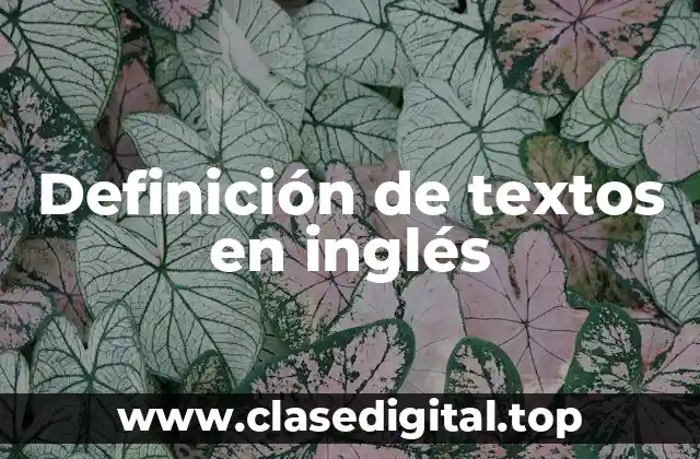 Definición de textos en inglés