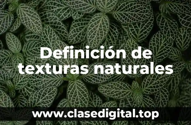 Definición de texturas naturales