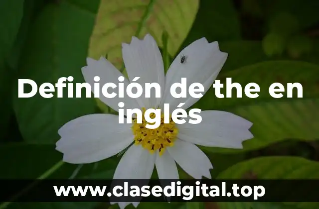 Definición de the en inglés