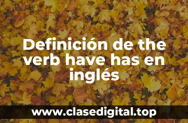 Definición de the verb have has en inglés