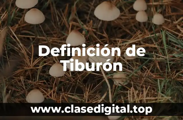 Definición de Tiburón
