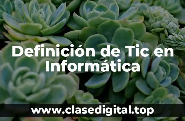 Definición de Tic en Informática