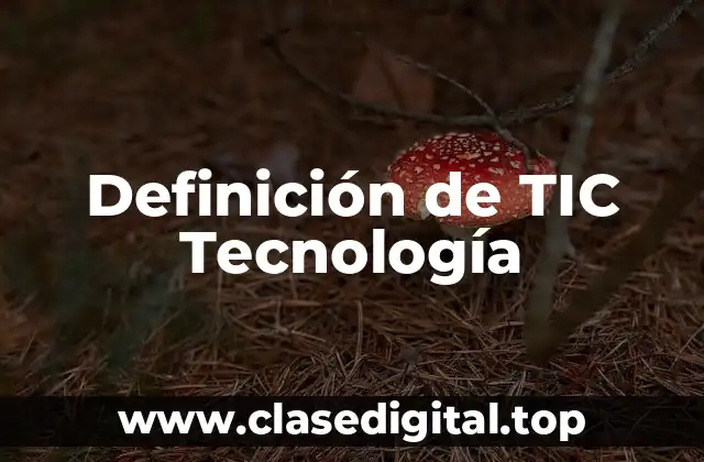 Definición de TIC Tecnología
