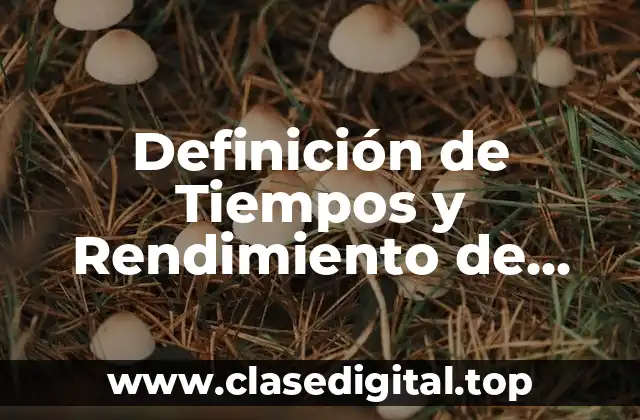 Definición de Tiempos y Rendimiento de Obra Civil