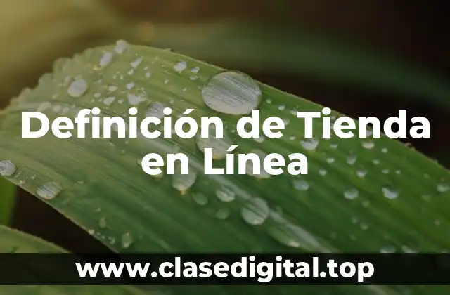 Definición de Tienda en Línea
