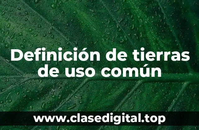 Definición de tierras de uso común