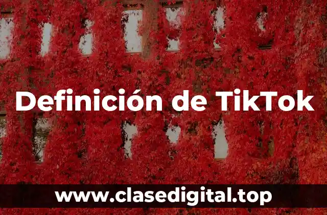 Ejemplos de TikTok