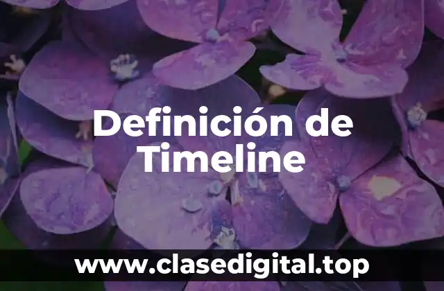 Definición técnica de Timeline