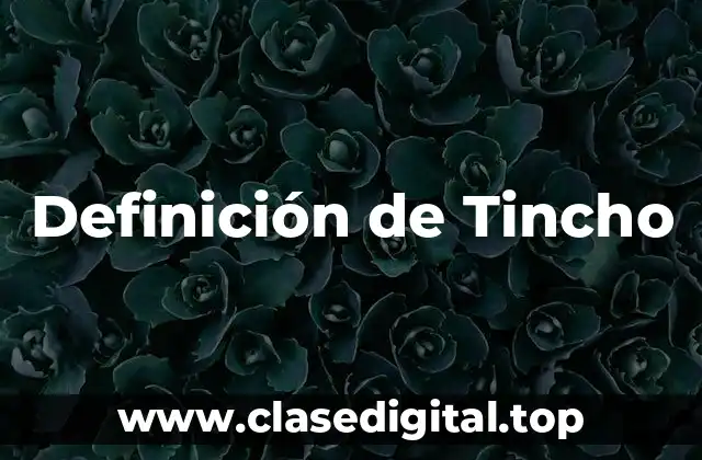 Definición de Tincho