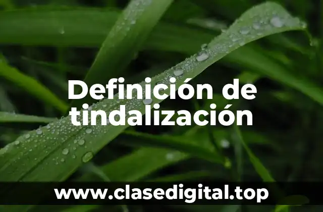 Definición de tindalización