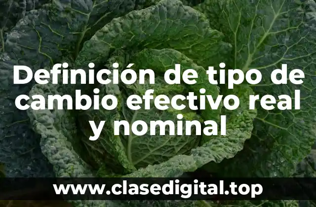 Definición de tipo de cambio efectivo real y nominal