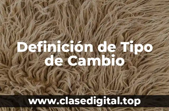 Definición técnica de Tipo de Cambio