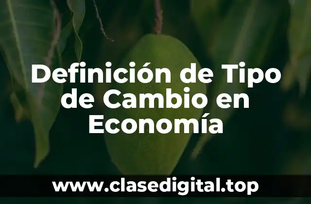 Definición de Tipo de Cambio en Economía