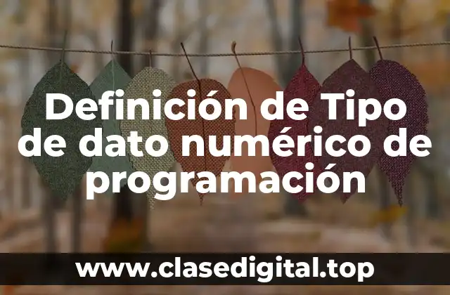 Definición de Tipo de dato numérico de programación