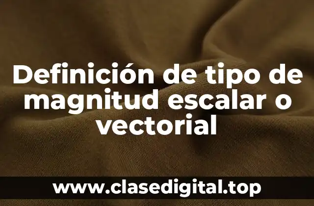 Definición de tipo de magnitud escalar o vectorial