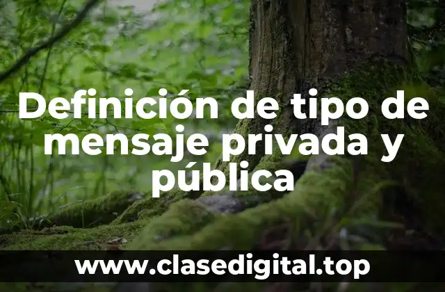 Definición de tipo de mensaje privada y pública