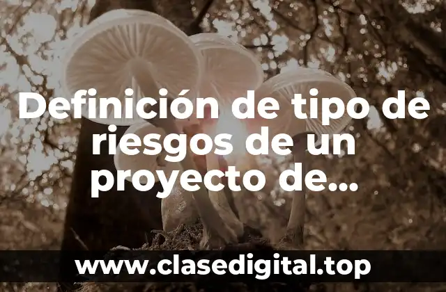 Definición de tipo de riesgos de un proyecto de construcción