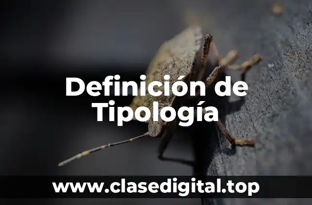 Definición de Tipología