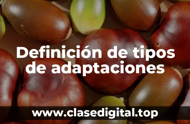 Definición de tipos de adaptaciones