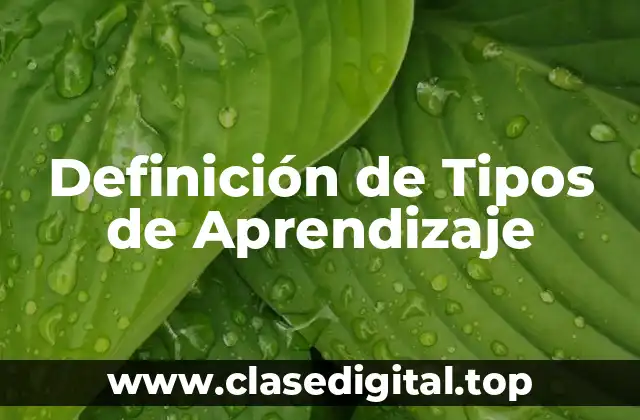 Definición de Tipos de Aprendizaje