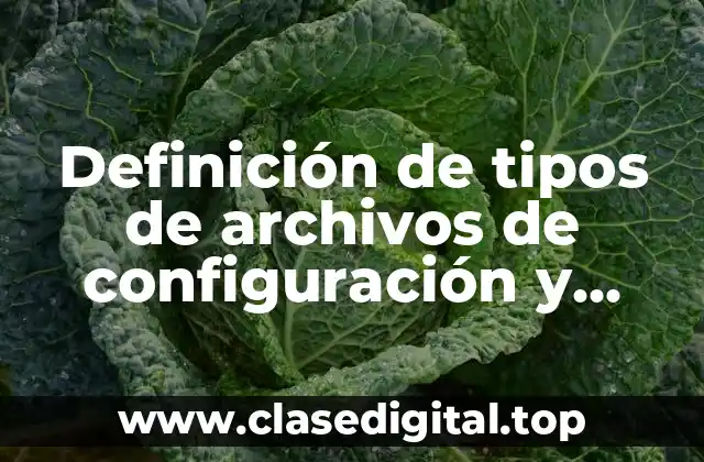 Definición de tipos de archivos de configuración y controladores