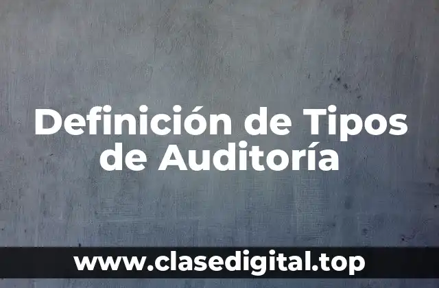 Definición de Tipos de Auditoría