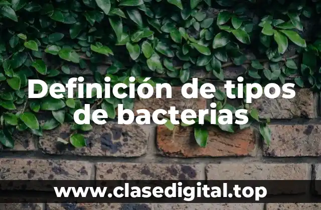 Ejemplos de tipos de bacterias