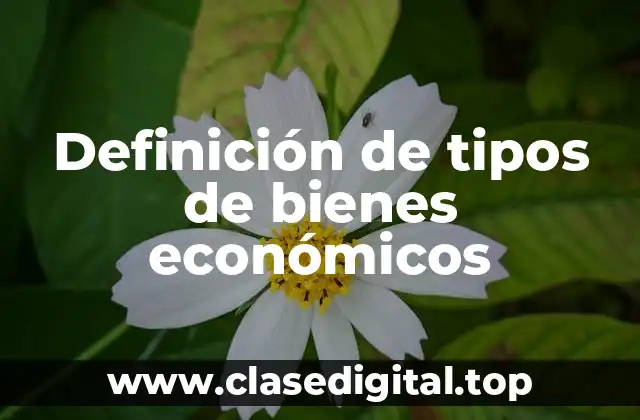 Definición de tipos de bienes económicos