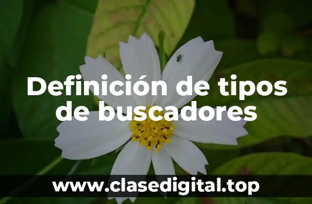Ejemplos de tipos de buscadores