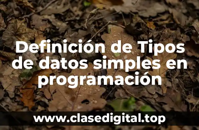 Definición de Tipos de datos simples en programación