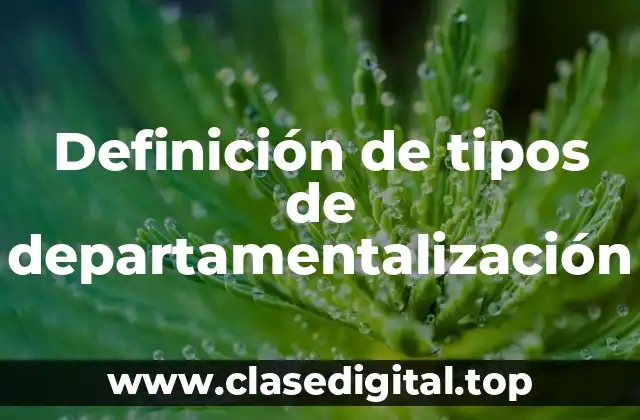 Definición de tipos de departamentalización