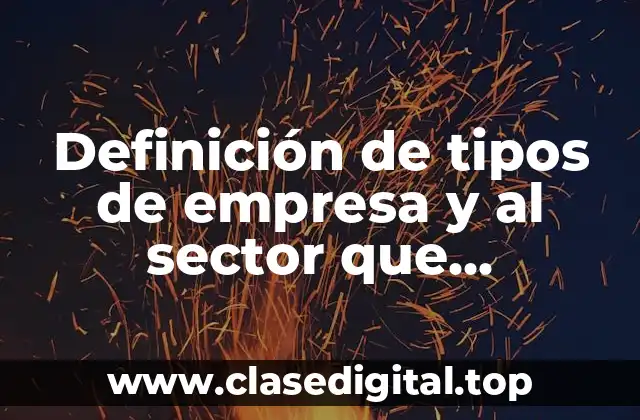 Definición de tipos de empresa y al sector que pertenece