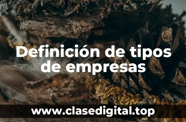 Definición de tipos de empresas