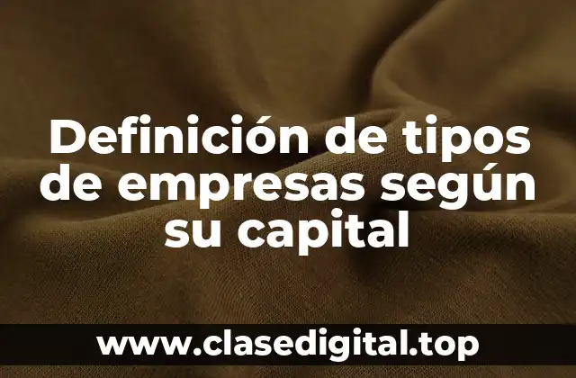 Definición de tipos de empresas según su capital