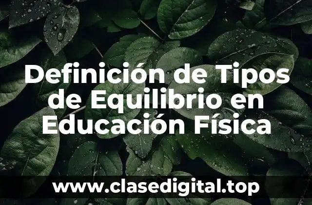 Definición de Tipos de Equilibrio en Educación Física