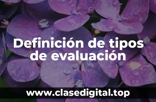 Ejemplos de tipos de evaluación