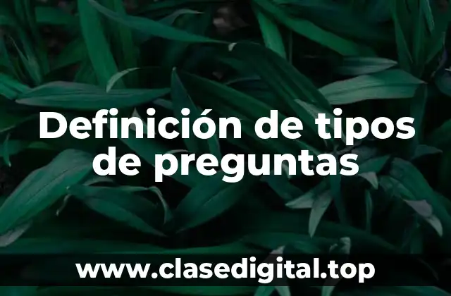 Definición de tipos de preguntas