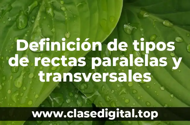 Definición de tipos de rectas paralelas y transversales
