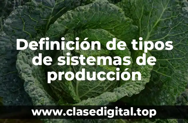 Ejemplos de tipos de sistemas de producción