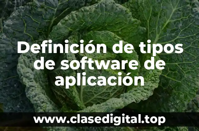 Ejemplos de software de aplicación