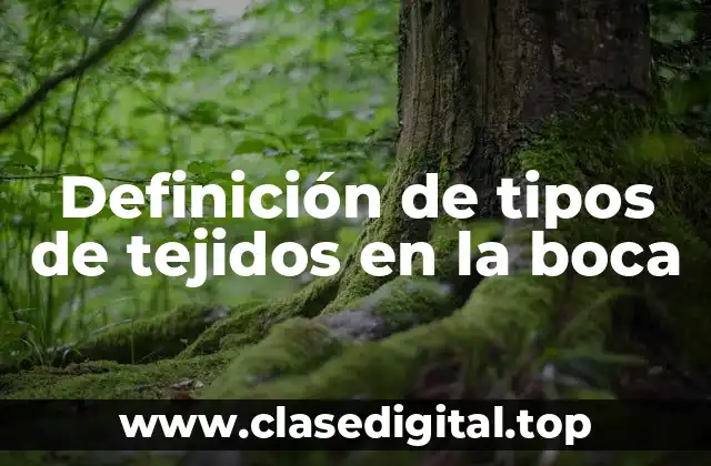 Definición de tipos de tejidos en la boca
