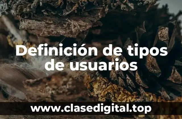 Definición de tipos de usuarios