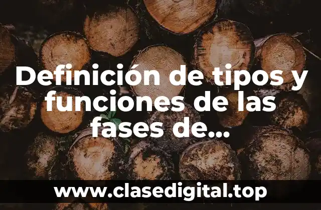 Definición de tipos y funciones de las fases de intervención