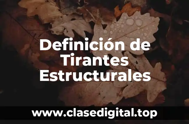Definición de Tirantes Estructurales
