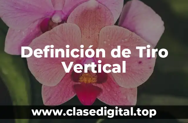 Definición de Tiro Vertical